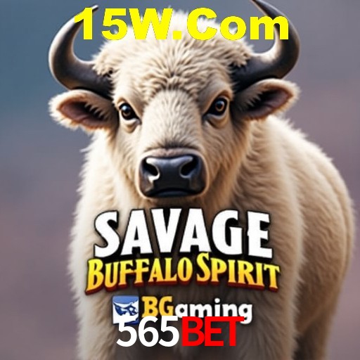 A Experiência Imersiva dos Cassinos Ao Vivo no 565Bet